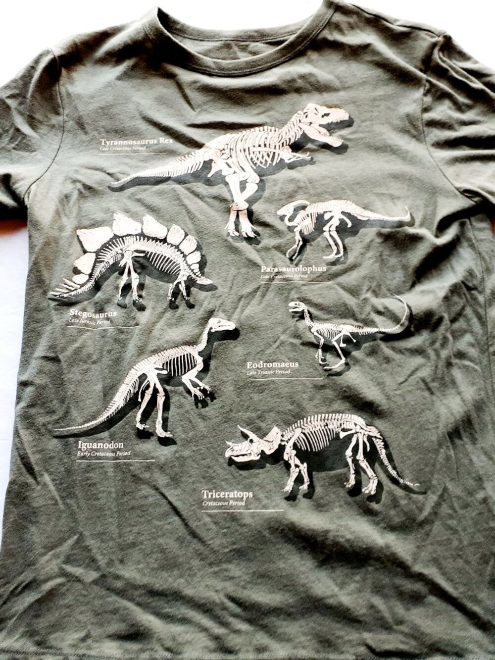 Gap Boys T-Shirt Dinosaurs Short Sleeve Green XXL 14-16